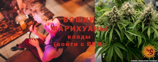 ГАЛЛЮЦИНОГЕННЫЕ ГРИБЫ Балабаново