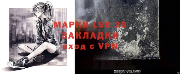 ГАЛЛЮЦИНОГЕННЫЕ ГРИБЫ Балабаново