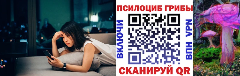 Псилоцибиновые грибы Magic Shrooms цена наркотик кракен как войти Заводоуковск