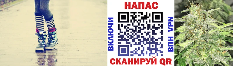 Конопля сатива  наркотики  Заводоуковск 